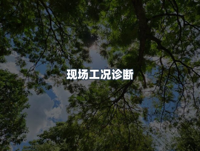 服务优势